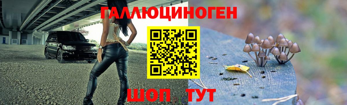 Холмск  Галлюциногенные грибы ЛСД  Вход с VPN 